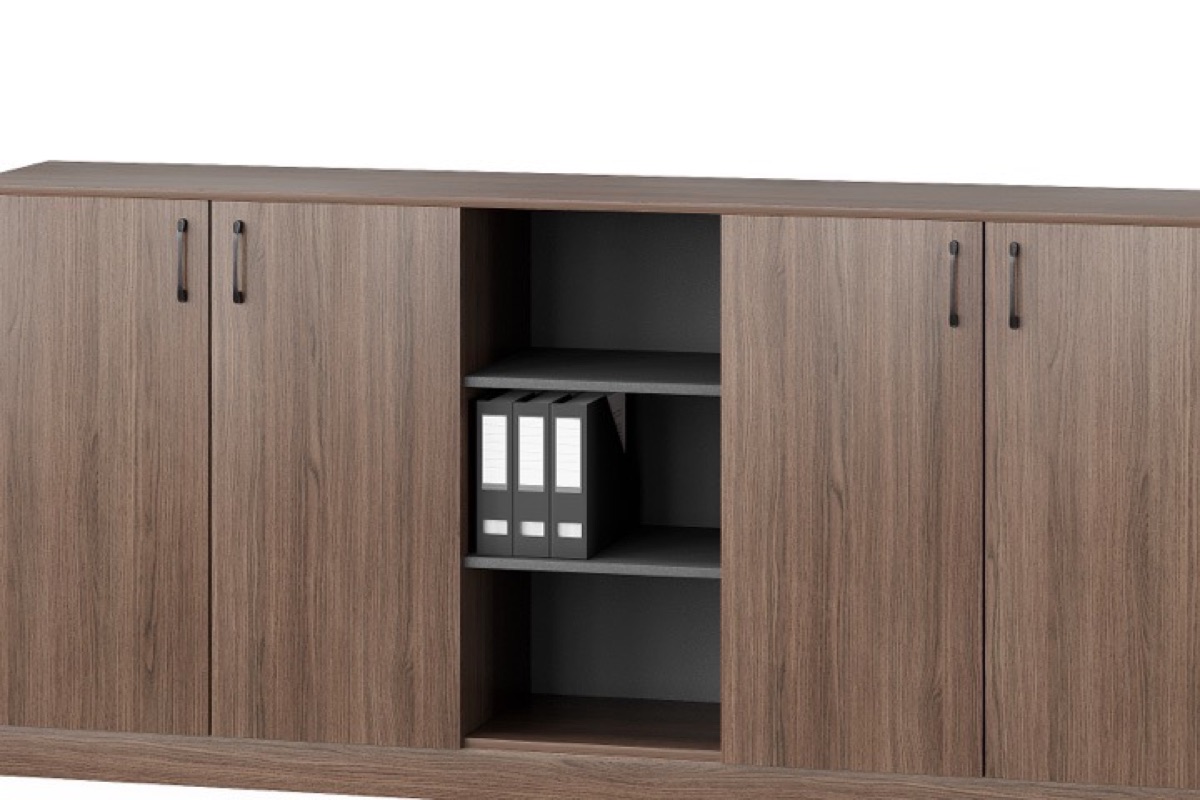 Kabinet Arsip Kantor Pintu + Rak — detail fitur 1