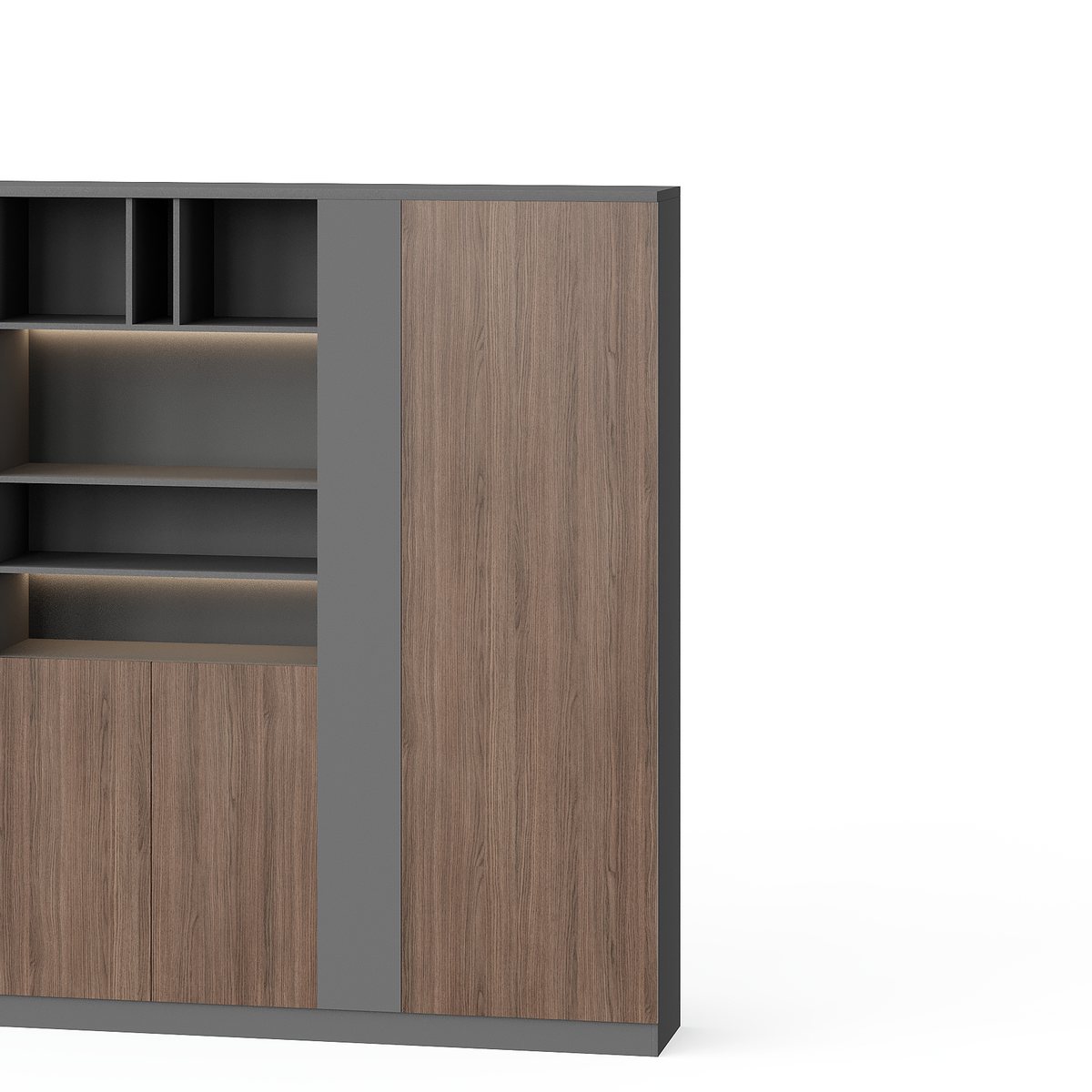 Kabinet Arsip Dua Pintu Rak Tengah — detail fitur 2