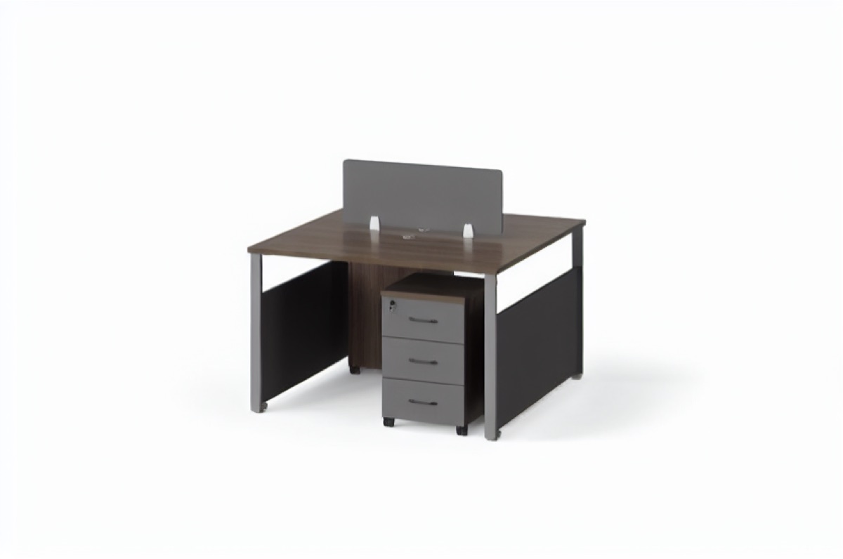 Workstation 2 Orang — situasi kantor