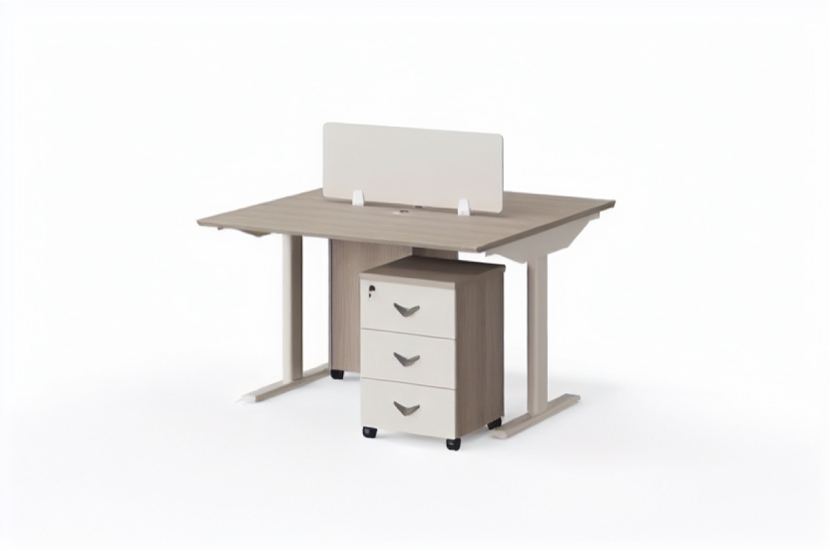 Workstation 2 Orang — situasi kantor