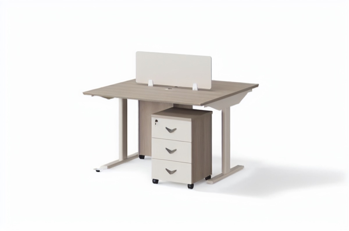 Workstation 2 Orang — situasi kantor