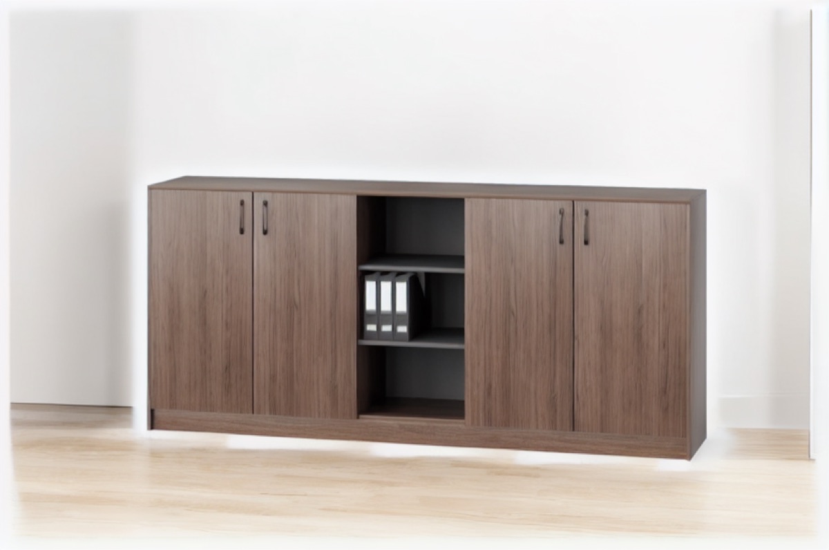 Kabinet Arsip Kantor Pintu + Rak — situasi kantor