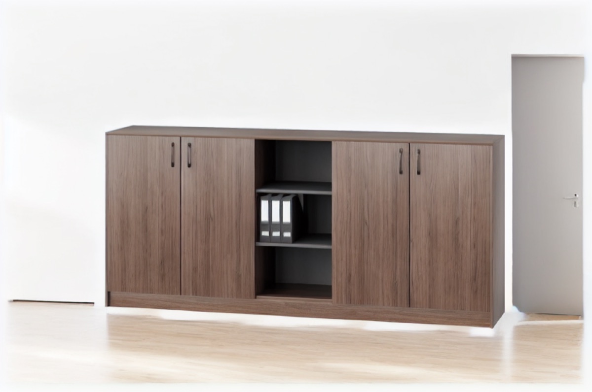 Kabinet Arsip Kantor Pintu + Rak — situasi kantor