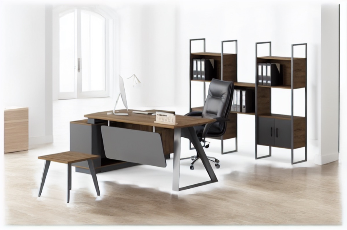 Director L-Desk + Bookshelf — office scene