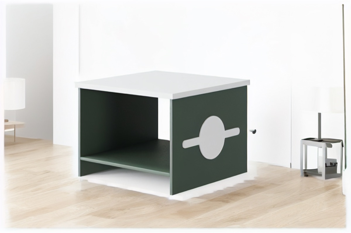 Green Office Coffee Table + Lower Shelf — office scene